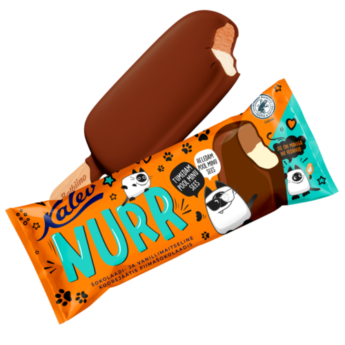 Nurr vanilli ja sokolaadijäätis