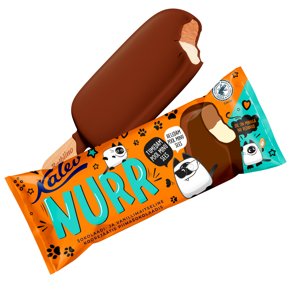 Nurr vanilli ja sokolaadijäätis